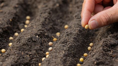 pr seeding platform in the philippines